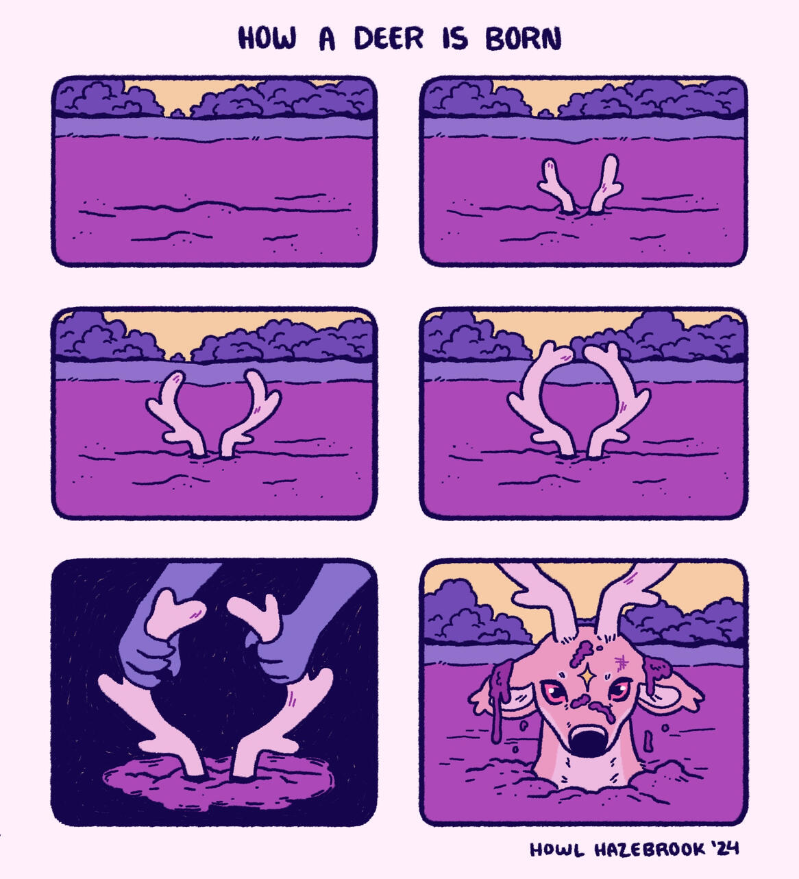 How a Deer is Born 1